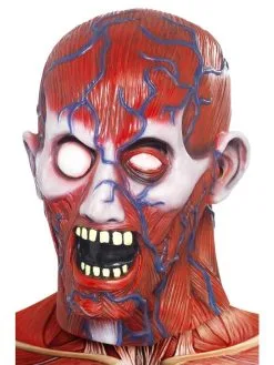 Adult Scary Anatomy Man Muscle Tissue Mask Latex Halloween Horror Fancy Dress