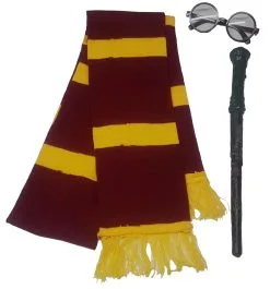 School Boy Girl Wizard House Scarf Wand & Glasses Halloween Book Day Fancy Dress Costume Accessories