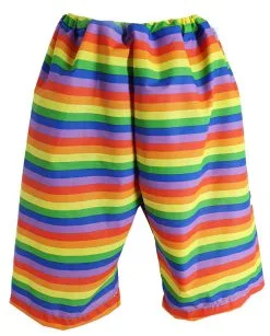 Unisex Rainbow Pride Bermuda Shorts LGBT Fancy Dress [2 Sizes] -Halloween Shop 3d5a1d4a 8250 405f 8d1f bcaf38fe6fbb 68760.1659519854