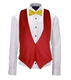 Adults Spain Espania Spanish National Flag Backless Waistcoat & Bowtie Fancy Dress [2 Sizes] -Halloween Shop 40215f15 7922 487c 9891 f04caa007257 62754.1676543415