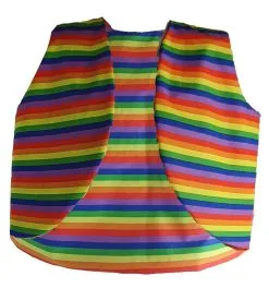 Adults Rainbow Stripe Gillet Waistcoat LGBT Pride March Festival Fancy Dress [2 Sizes] -Halloween Shop 9aea9b19 96c6 4f8e bc68 a75ce62bf948 97263.1655466381