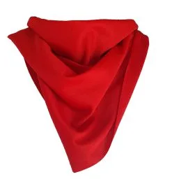 Cowboy Cowgirl Western Wild Rag Neckerchief Fancy Dress Accessory [Red]