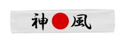 Olympian Mixed Martial Arts Japanese Chinese Brazilian Combat Fighting Headbands -Halloween Shop api08xlxe 90511.1627394870