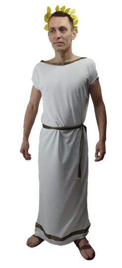 Adults Deluxe Roman Grecian Greek Toga Tabard Robes & Laurel Historical Fancy Dress Costume -Halloween Shop api44rxmv 02119.1620416480