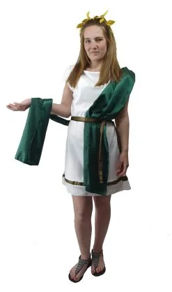 Ladies Deluxe Roman Greek Grecian Toga Tabard Robes Historical Fancy Dress Costume -Halloween Shop api7bkjuz 04367.1620416407