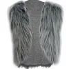Childs 4-7 Yrs Grey Wolf Animal Faux Fur Waistcoat Arctic Fancy Dress 2 Childs 4-7 Yrs Grey Wolf Animal Faux Fur Waistcoat Arctic Fancy Dress -Halloween Shop api7vjsiy 66969.1647868709