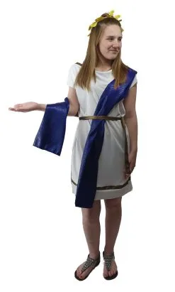 Ladies Deluxe Roman Greek Grecian Toga Tabard Robes Historical Fancy Dress Costume -Halloween Shop apiahinxz 24535.1620416408