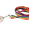 Adults Rainbow Gay Pride LGBT Festival Party Stay Safe NHS Cord Whistle 2 Adults Rainbow Gay Pride LGBT Festival Party Stay Safe NHS Cord Whistle -Halloween Shop apidunorp 05383.1612445492