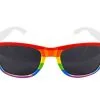 Adults Rainbow Gay Pride Dark Glasses LGBT Stay Safe NHS Sunglasses -Halloween Shop apiexrvr5 81584.1587129062