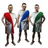 Adult Mens Roman Greek Pleb Plebeian Toga Tabard & Sash Historical Fancy Dress Costume -Halloween Shop apirqyfrb 79963.1620416466
