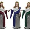 Ladies Greek Goddess Roman Senator Grecian Mythology Toga Robes Historical Fancy Dress Costume -Halloween Shop apitewhfk 77678.1620416510