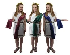 Ladies Deluxe Roman Greek Grecian Toga Tabard Robes Historical Fancy Dress Costume