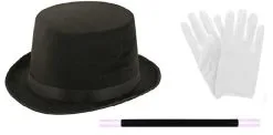 Adults Top Hat Magic Wand & White Gloves Magician Fancy Dress Set