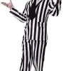 Adults Crazy Beetlejuice Movie Ghost Halloween Fancy Dress Costume [Standard] -Halloween Shop ec868817 09ff 42e8 ac64 f2418fd01fc7 47049.1665154858