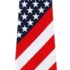 USA Windsor Knot Fotmal Tie Stars & Stripes America 4th July Uncle Sam Donald Trump -Halloween Shop fd7efa21 990b 48df be60 0fff78536316 21872.1597677574